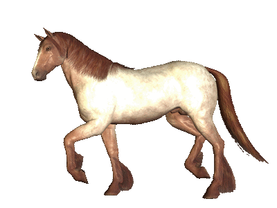 Pferd